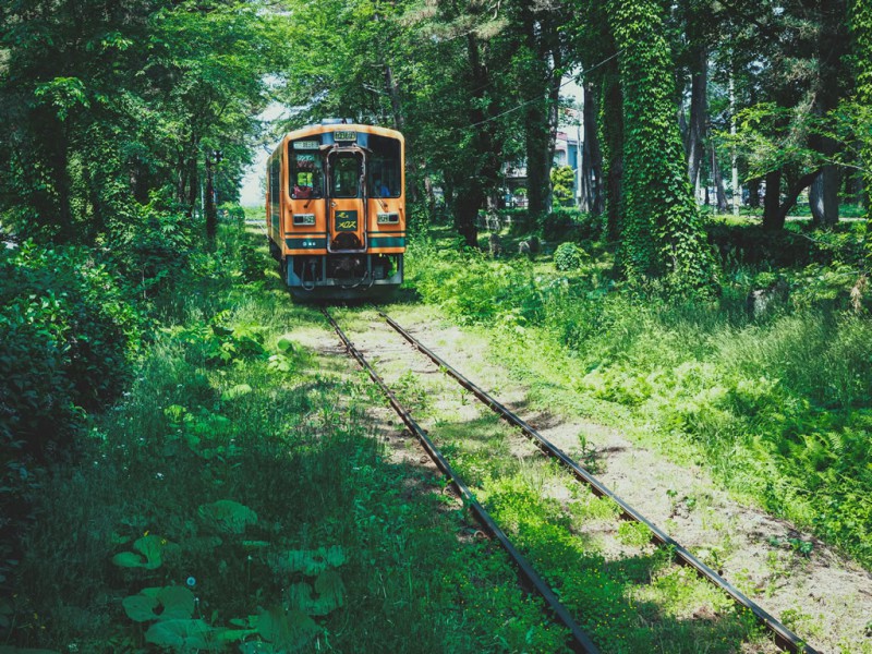 森のなかを走る1車両の電車